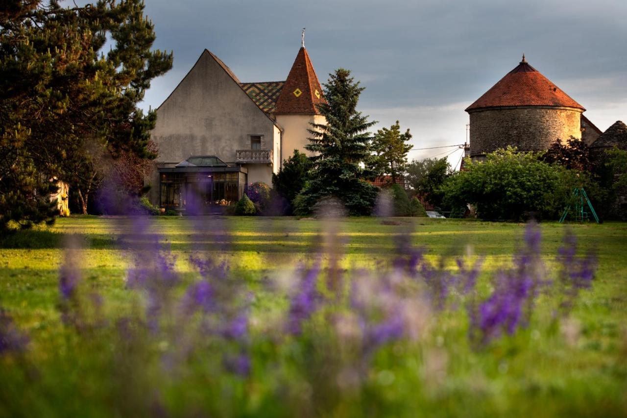 L'Hote Antique - Maison D'Hote- 4 Suites Avec Cuisine Pichanges Zewnętrze zdjęcie